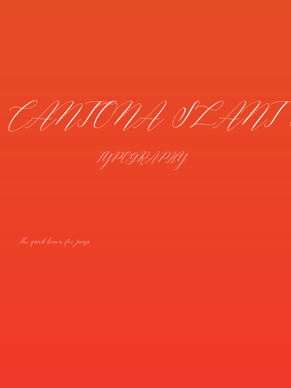 Cantona Slant Slant Poster