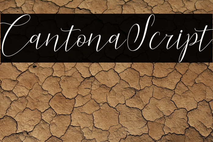 CantonaScript Example 1