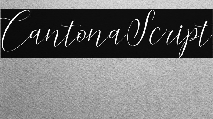 CantonaScript Example 2