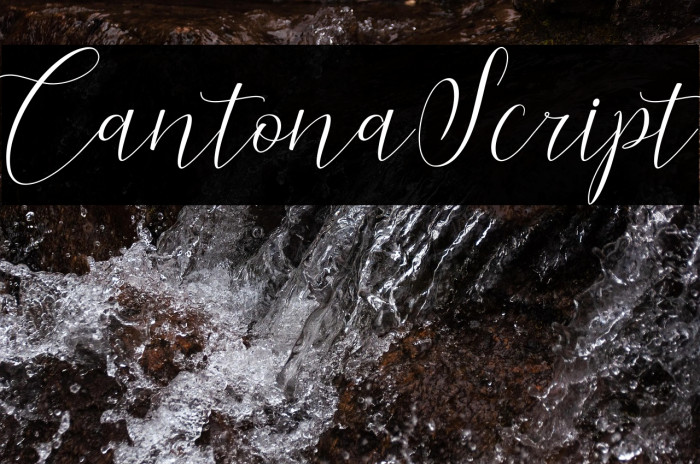 CantonaScript Example 3