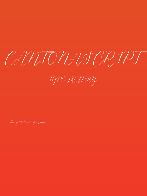 CantonaScript Poster