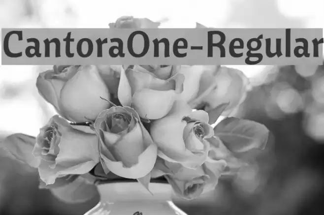 CantoraOne-Regular Font examples