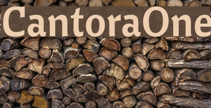 CantoraOne Font examples