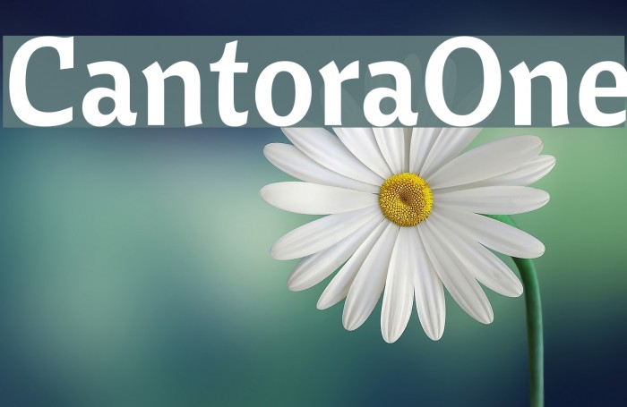 CantoraOne Font examples