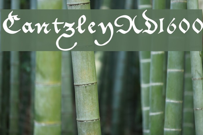 CantzleyAD1600 Font examples