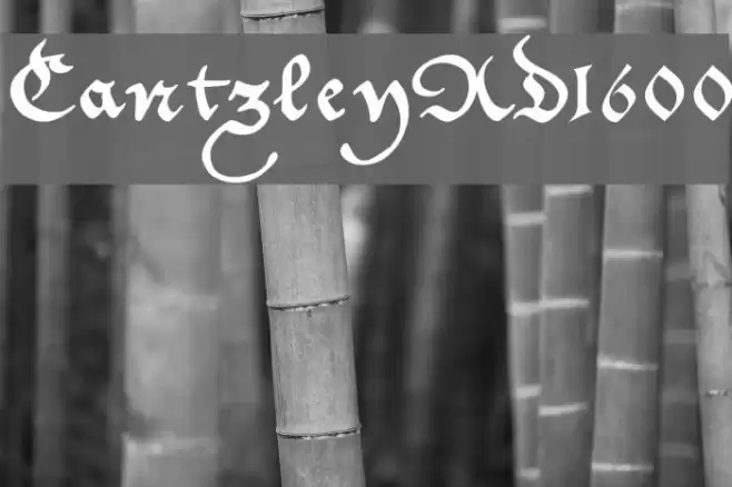 CantzleyAD1600 Fuentes examples