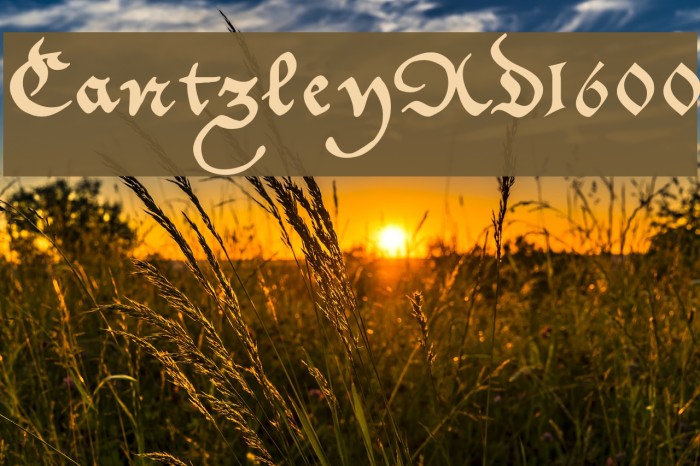 CantzleyAD1600 Font examples