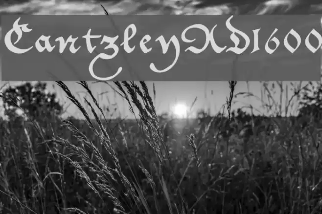 CantzleyAD1600 Fuentes examples