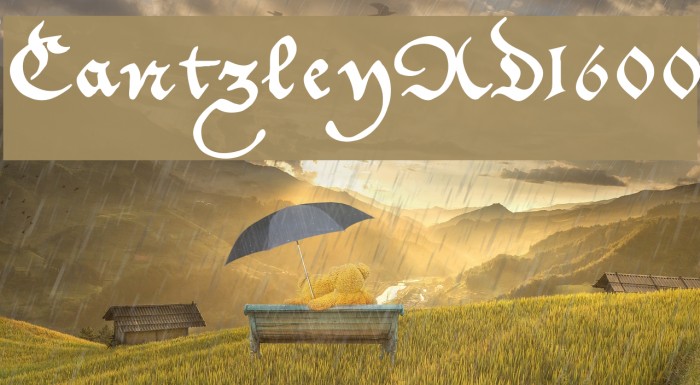 CantzleyAD1600 Font examples
