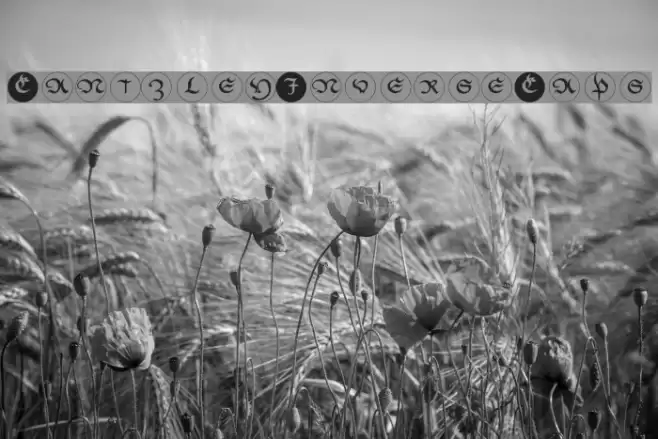 CantzleyInverseCaps Font examples