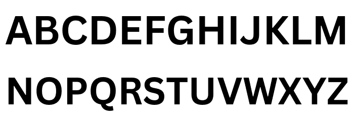 Canva Sans Bold Font UPPERCASE