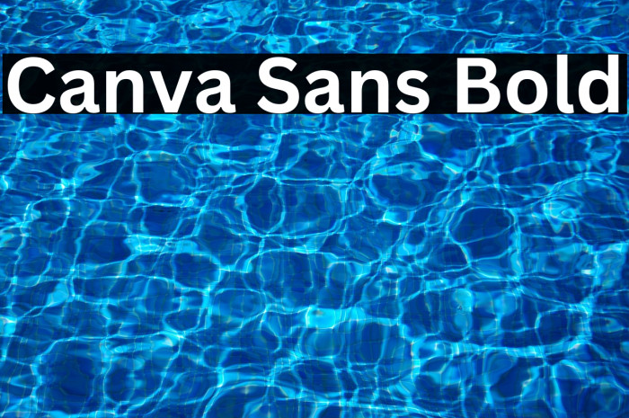 Canva Sans Bold Example 1