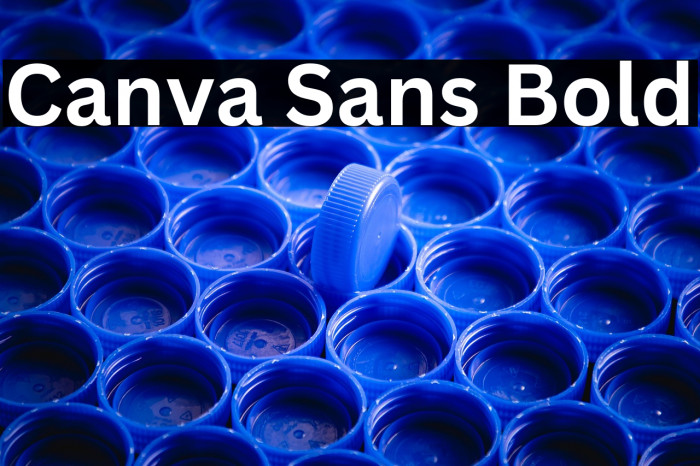 Canva Sans Bold Example 2