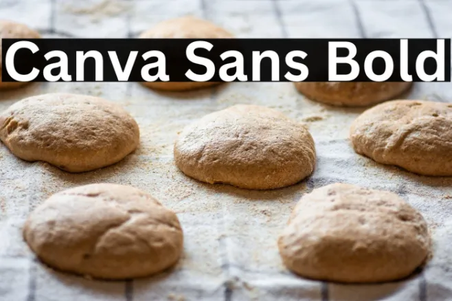 Canva Sans Bold Example 3