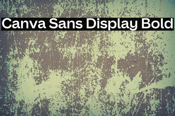 Canva Sans Display Bold Example 3