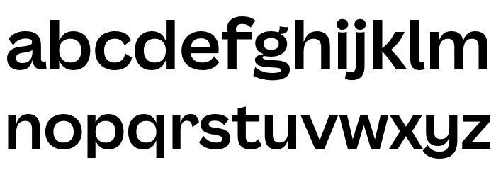 Canva Sans Display Bold Font LOWERCASE