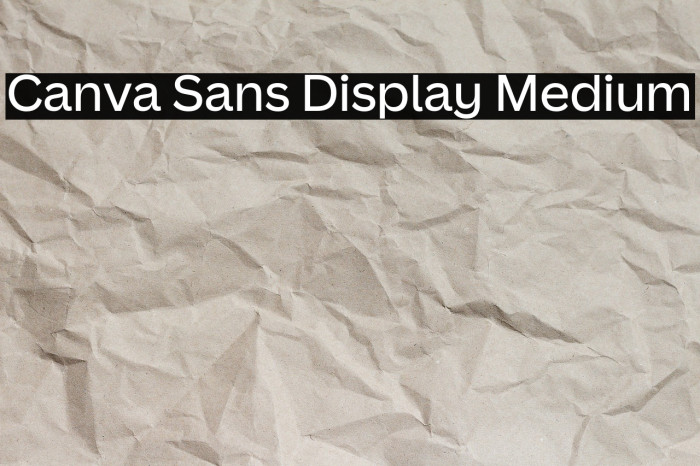 Canva Sans Display Medium Example 1