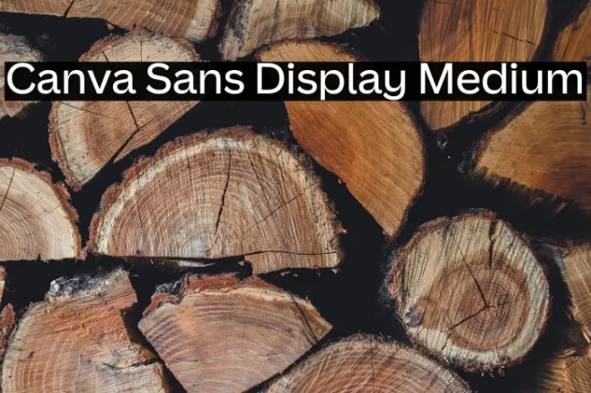 Canva Sans Display Medium Example 2