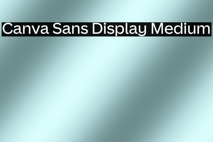 Canva Sans Display Medium Example 3