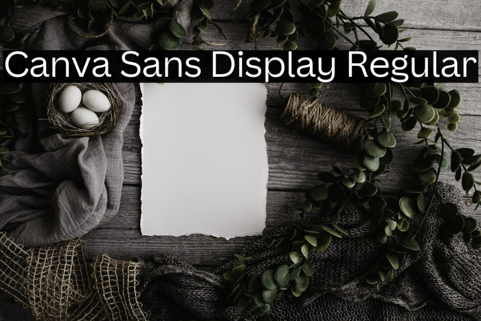 Canva Sans Display Regular Example 2