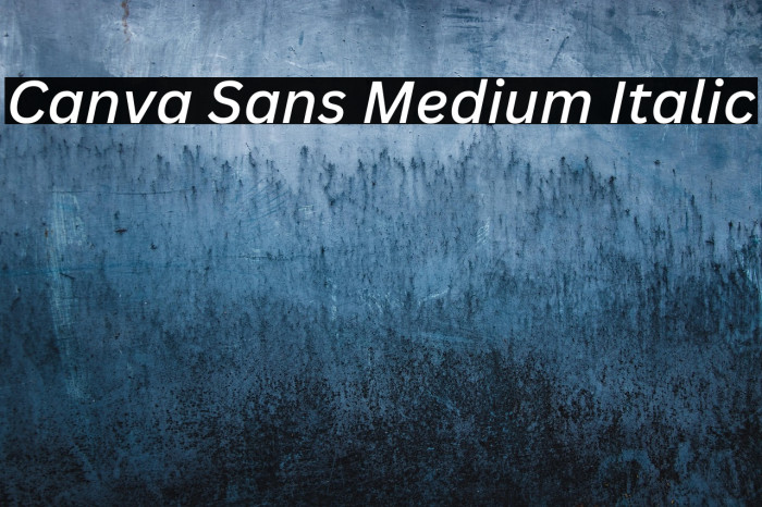 Canva Sans Medium Italic Example 2