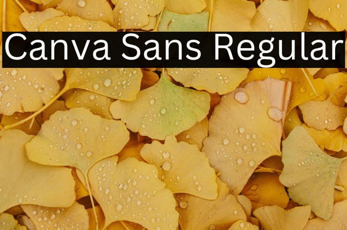 Canva Sans Regular Example 1