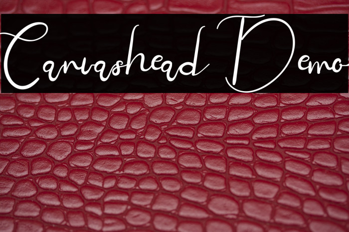 Canvashead Demo Example 2