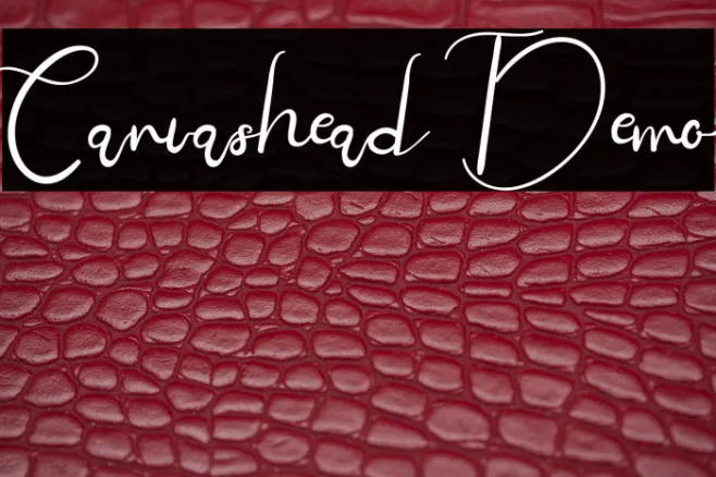 Canvashead Demo Example 2