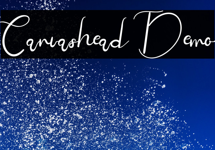 Canvashead Demo Example 3