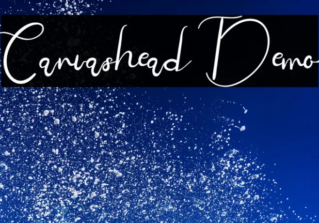 Canvashead Demo Example 3