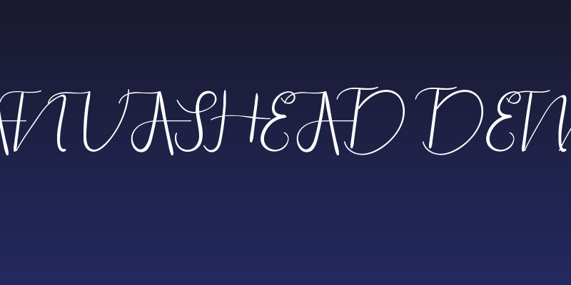 Canvashead Demo Social Header