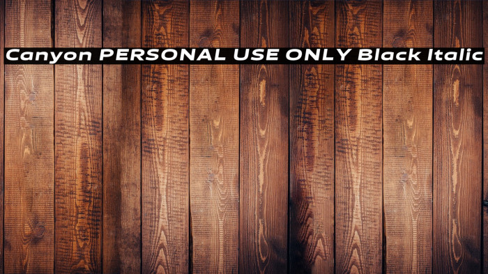 Canyon PERSONAL USE ONLY Black Italic Example 1