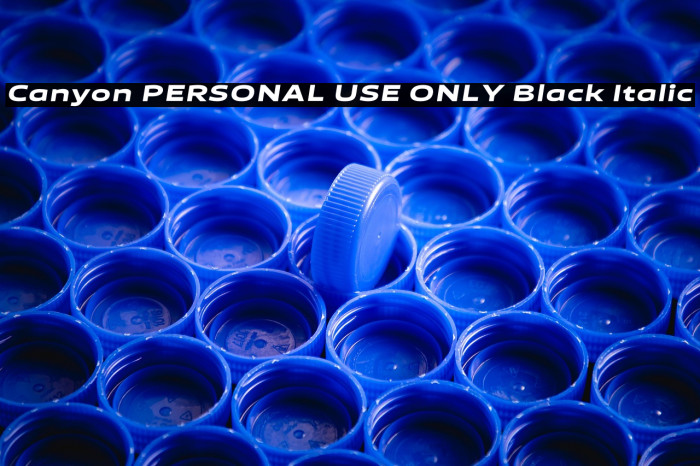 Canyon PERSONAL USE ONLY Black Italic Example 2