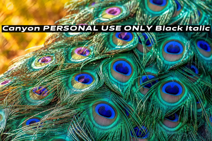Canyon PERSONAL USE ONLY Black Italic Example 3
