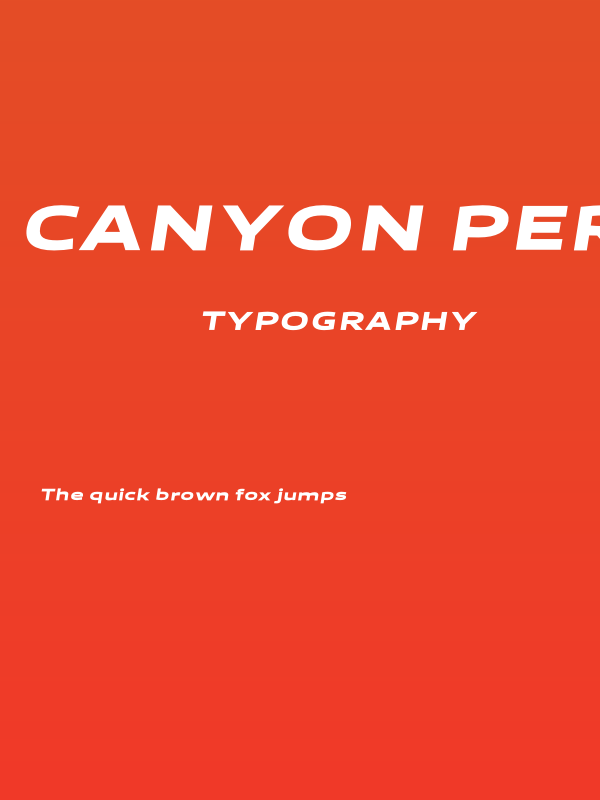 Canyon PERSONAL USE ONLY Black Italic Poster