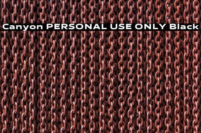 Canyon PERSONAL USE ONLY Black Example 2