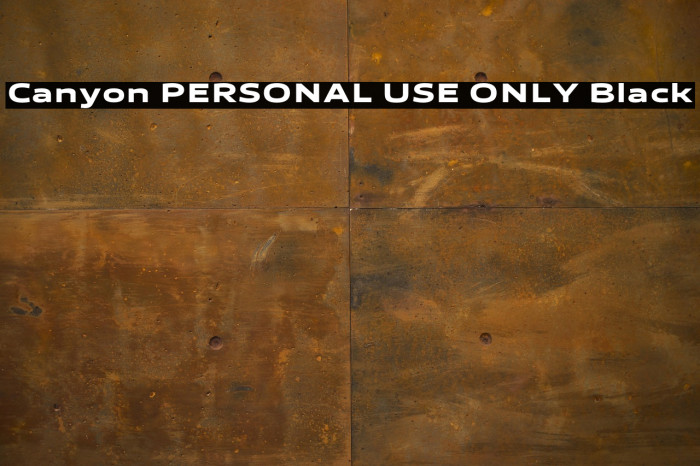 Canyon PERSONAL USE ONLY Black Example 3