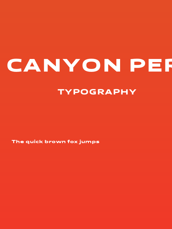 Canyon PERSONAL USE ONLY Black Poster