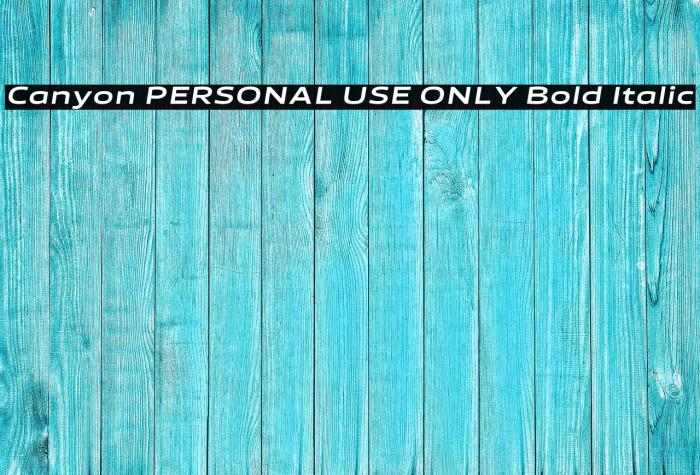 Canyon PERSONAL USE ONLY Bold Italic Example 1