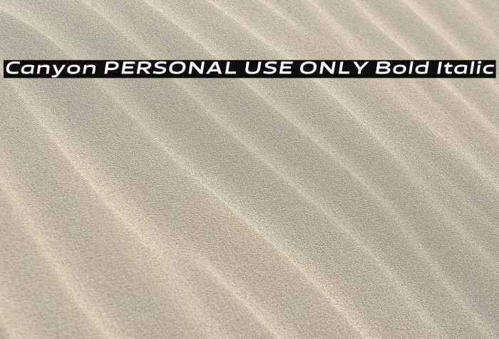 Canyon PERSONAL USE ONLY Bold Italic Example 2