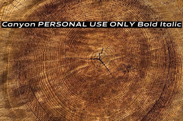 Canyon PERSONAL USE ONLY Bold Italic Example 3