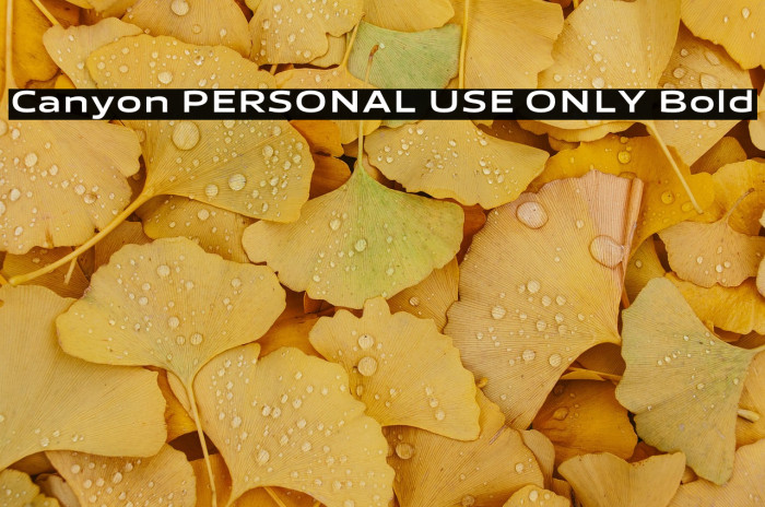 Canyon PERSONAL USE ONLY Bold Example 2