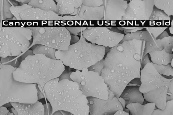 Canyon PERSONAL USE ONLY Bold Font examples