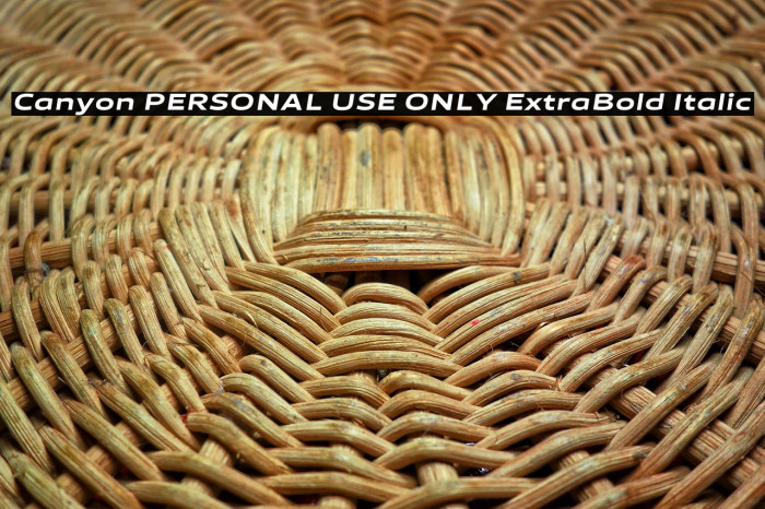 Canyon PERSONAL USE ONLY ExtraBold Italic Example 2