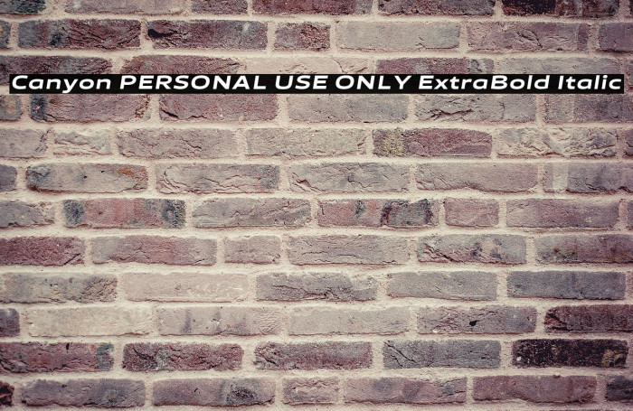 Canyon PERSONAL USE ONLY ExtraBold Italic Example 3