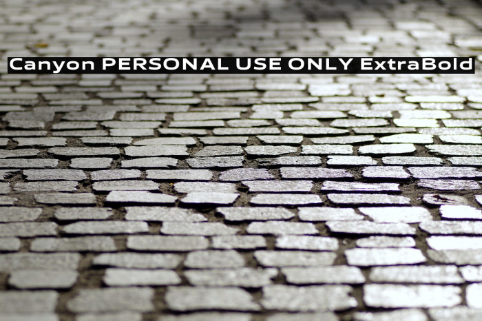 Canyon PERSONAL USE ONLY ExtraBold Example 1