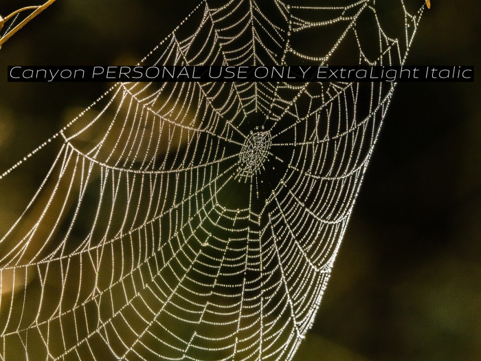 Canyon PERSONAL USE ONLY ExtraLight Italic Example 1