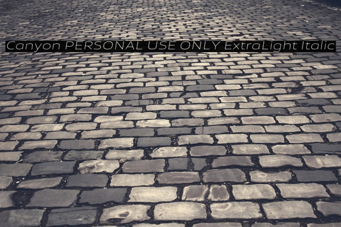 Canyon PERSONAL USE ONLY ExtraLight Italic Example 3