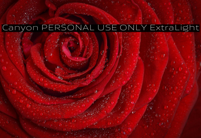 Canyon PERSONAL USE ONLY ExtraLight Example 3