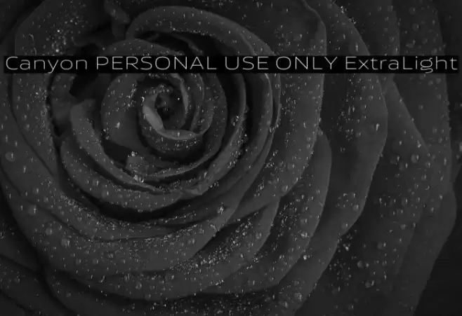 Canyon PERSONAL USE ONLY ExtraLight Font examples